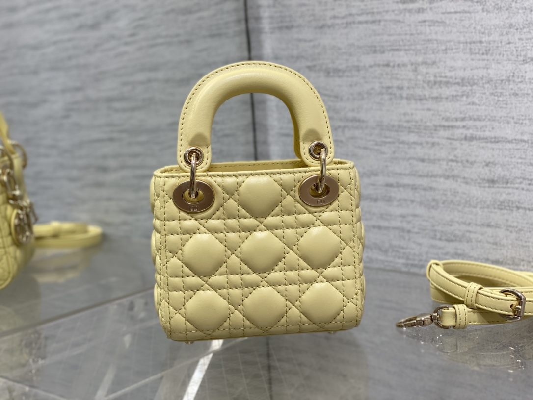 lady D*or micro bag