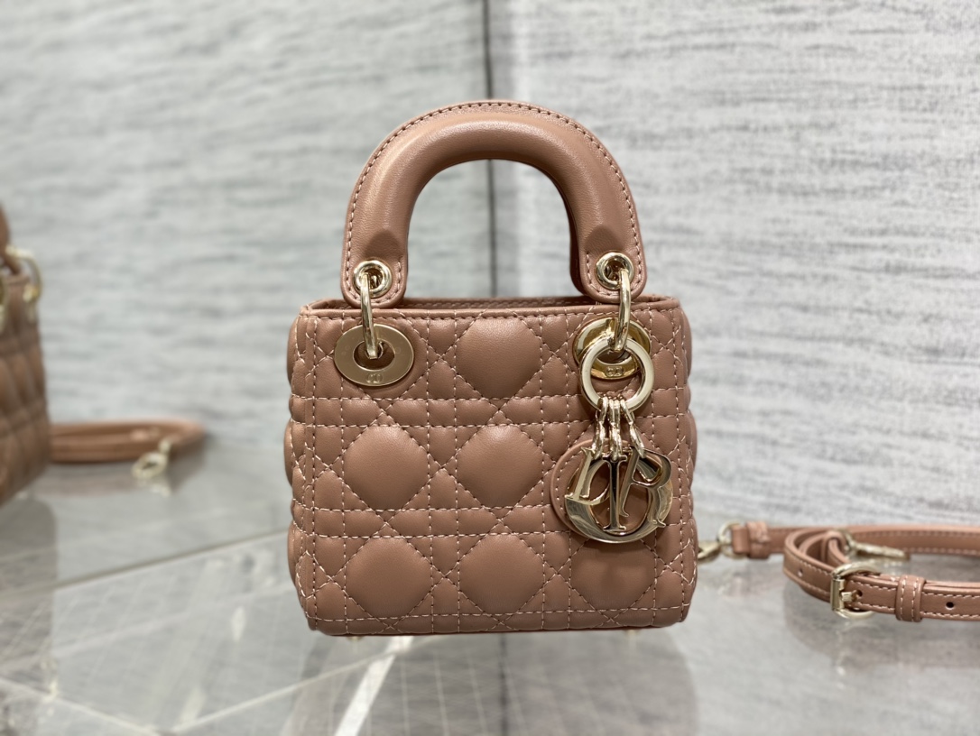 lady D*or micro bag