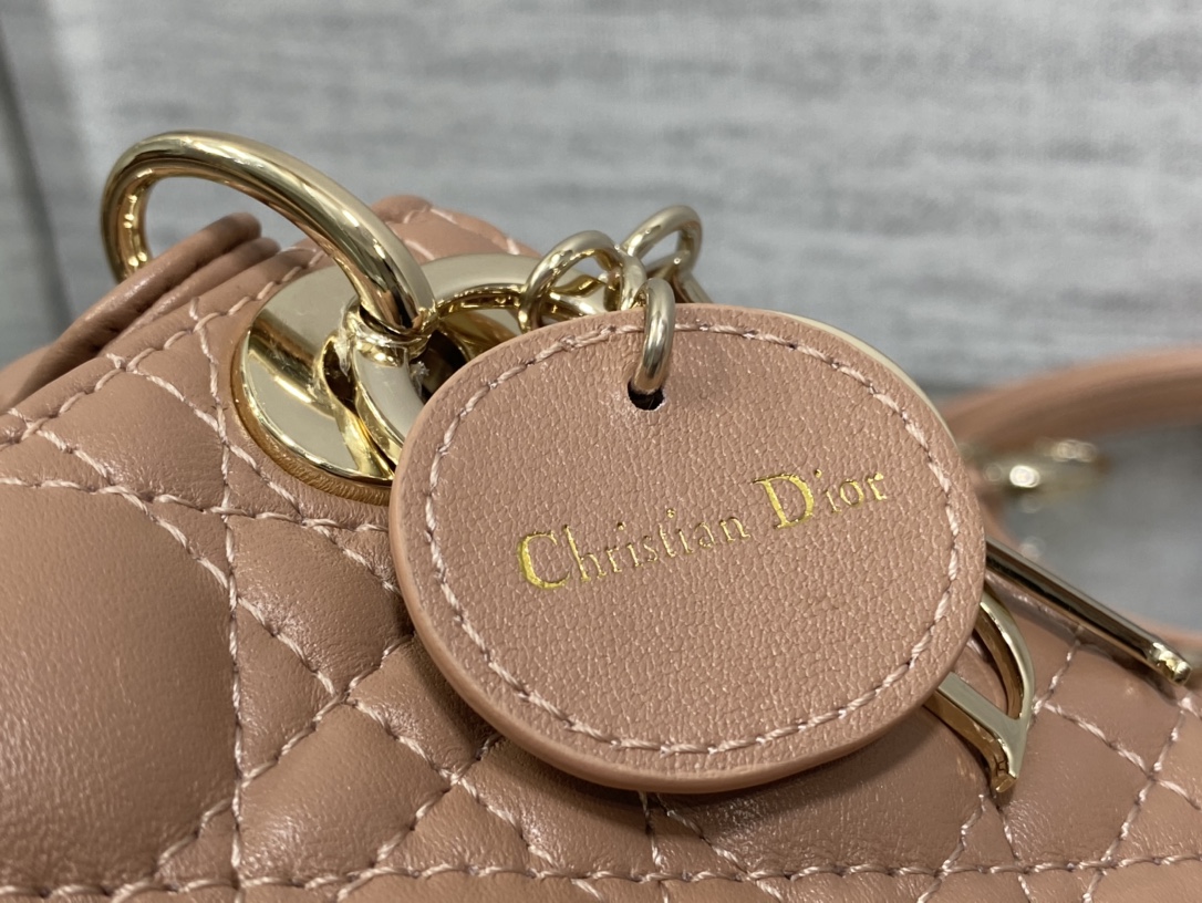 lady D*or micro bag