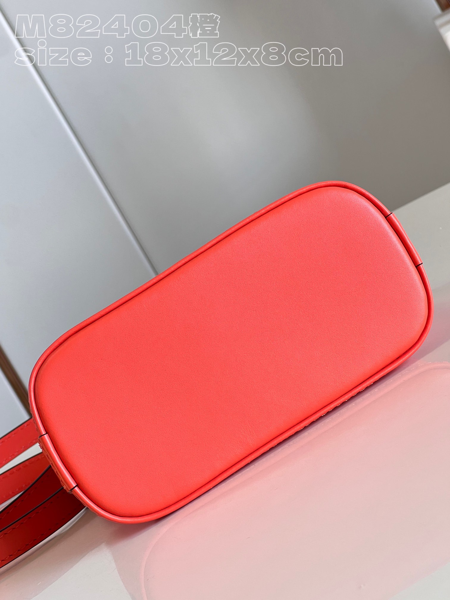 l**is V*t*n nano alma bag