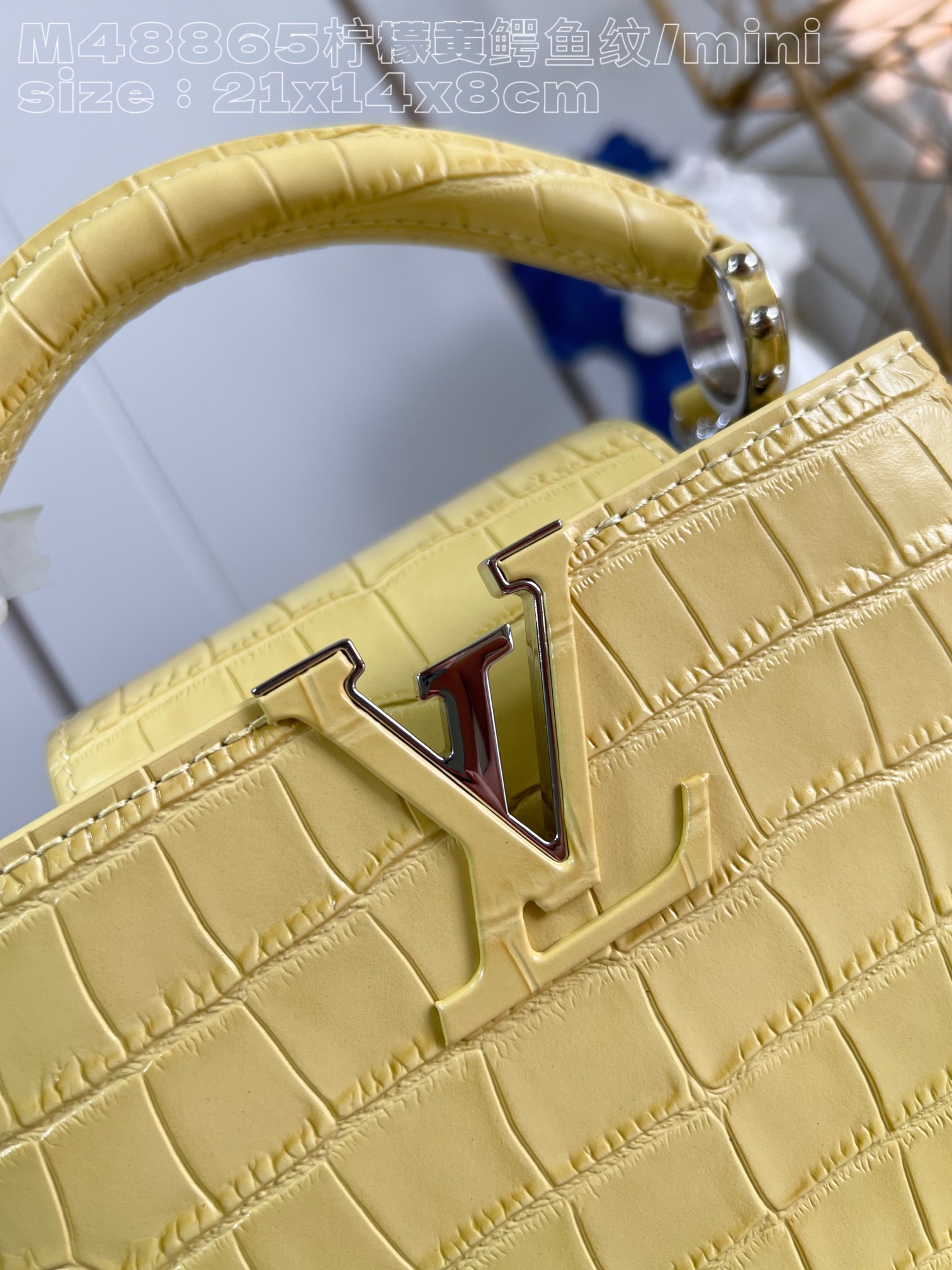 l**is V*t*n capucines mini