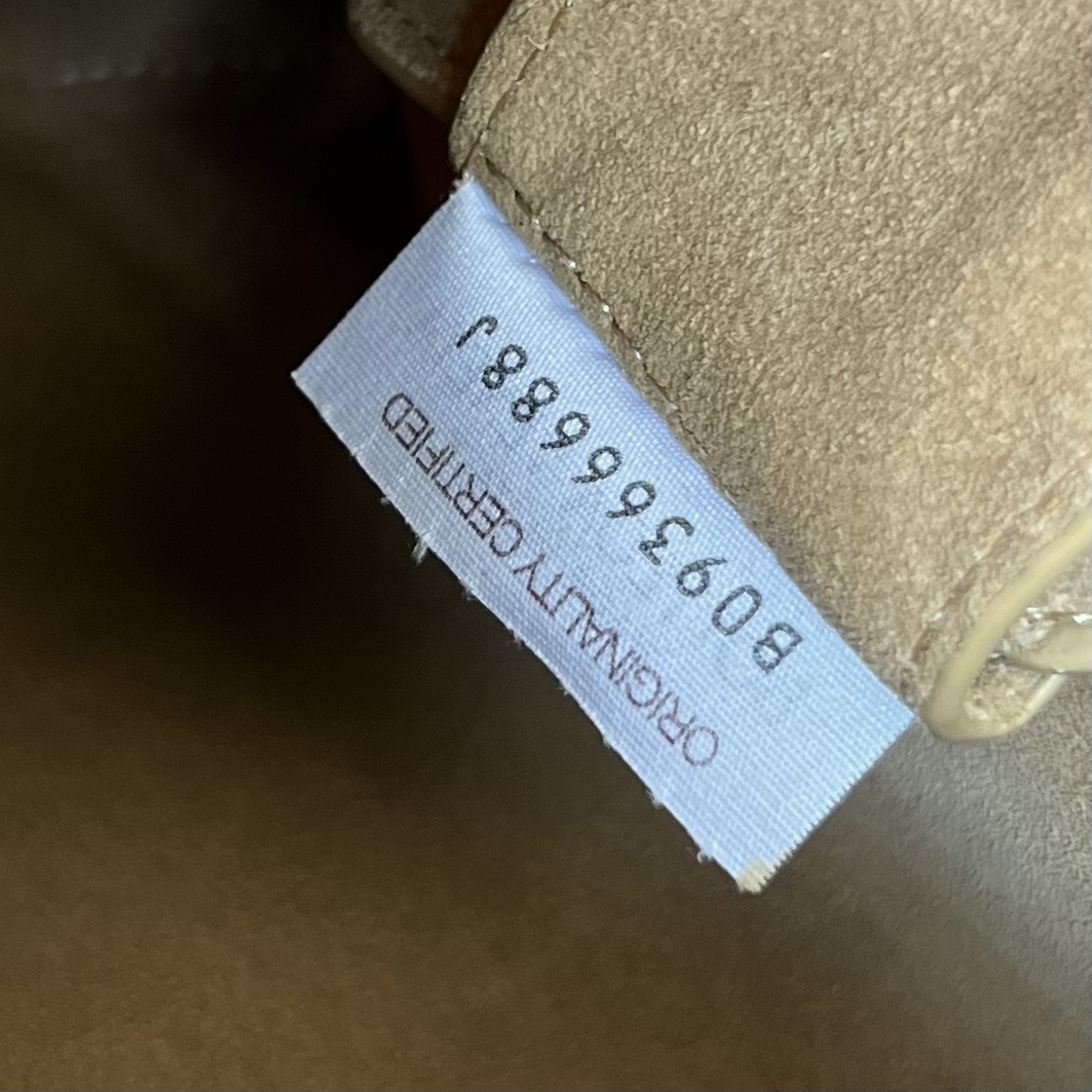 bo*te*ga Ve*ne*ta the small brown bag