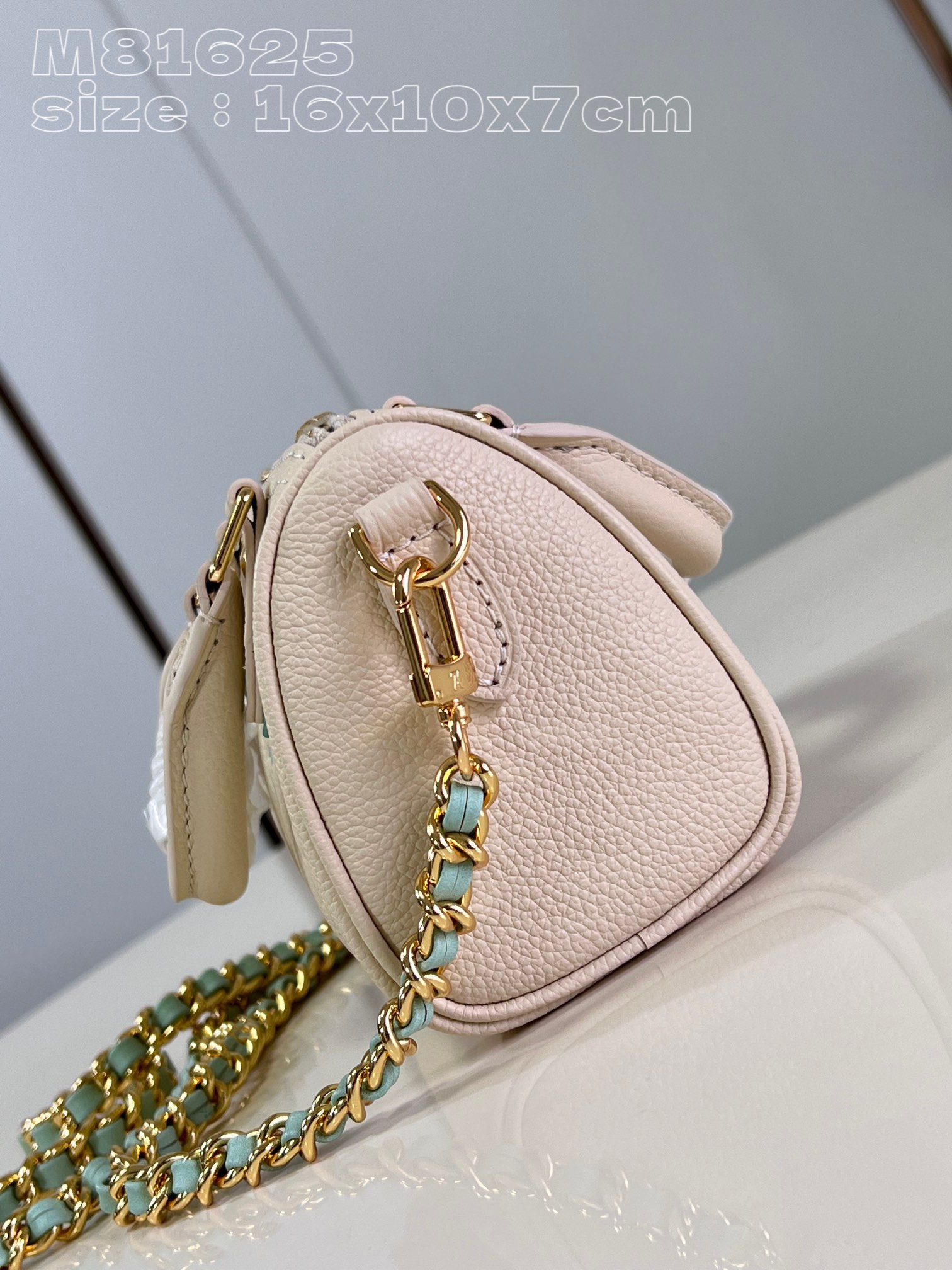 l**is V*t*n nano speedy handbag