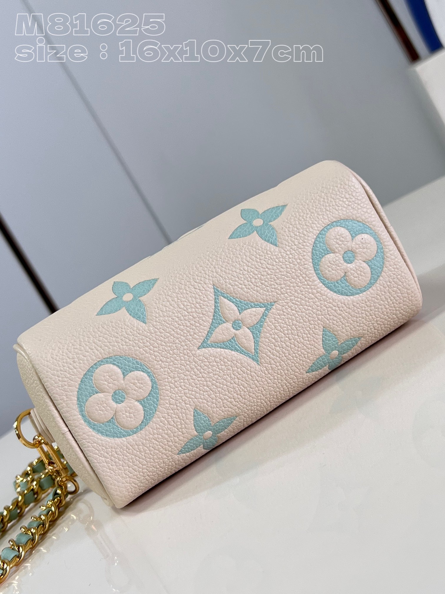 l**is V*t*n nano speedy handbag