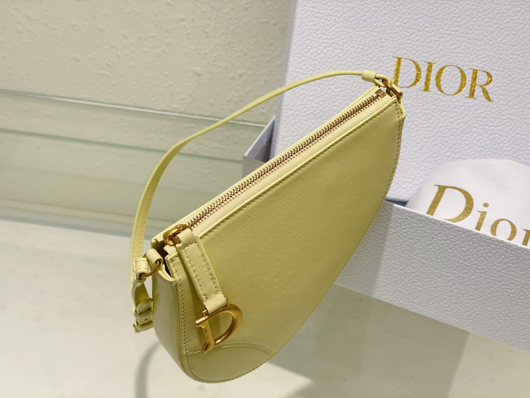 D*or saddle shoulder pouch