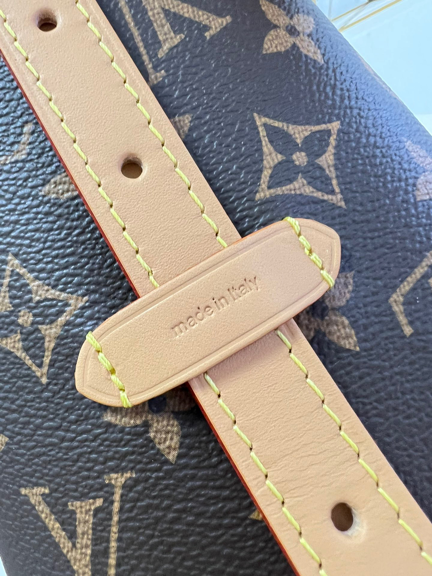 l**is V*t*n sac carryall pm